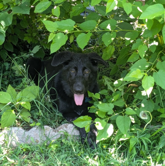 TAKE 50% Off EVERTHING! SEND ME BUNDLE! Like For Showtimes And Specials! - Picture 10 of 12